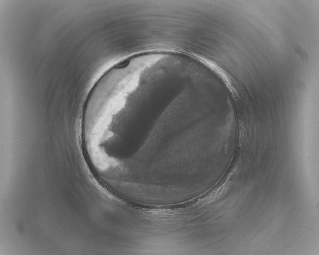 X0000115671383200912101103