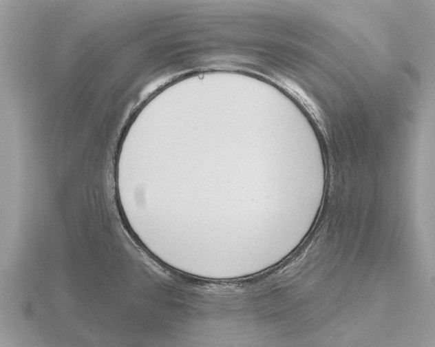 X0000115671384200912101103