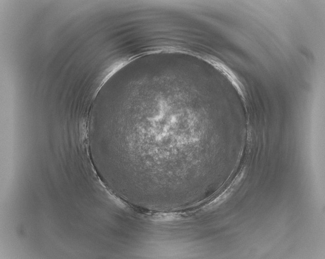 X0000115671385200912101103