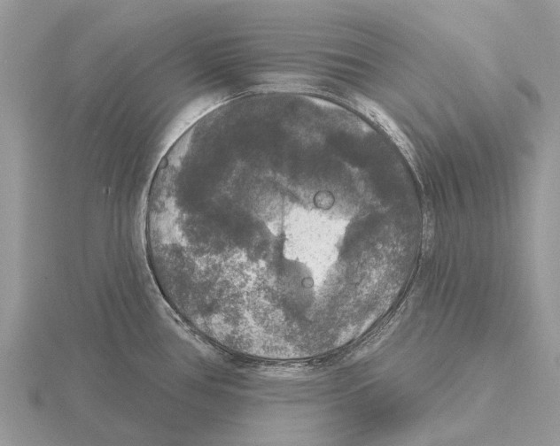 X0000115671386200912101103