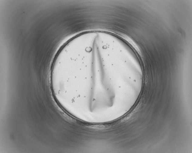 X0000115671388200912101103