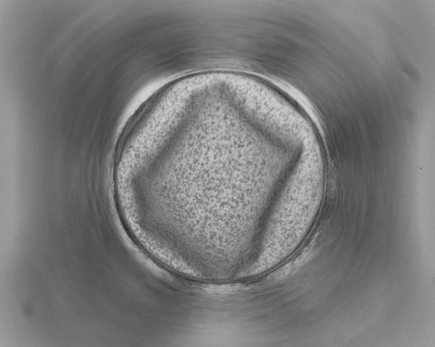 X0000115671389200912101103