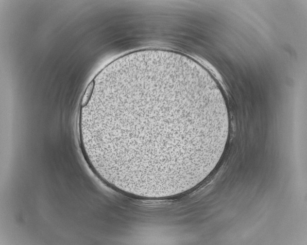 X0000115671391200912101103