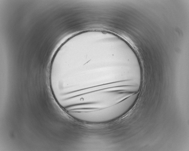 X0000115671392200912101103