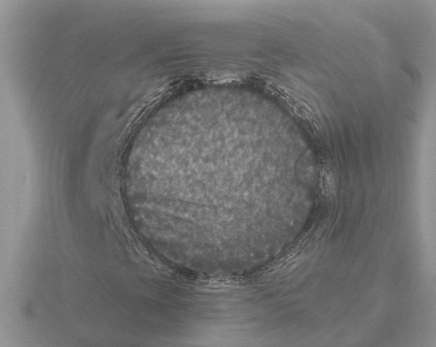 X0000115671393200912101102