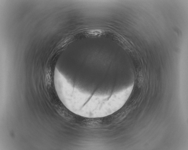 X0000115671394200912101102