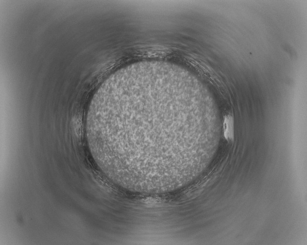 X0000115671395200912101102