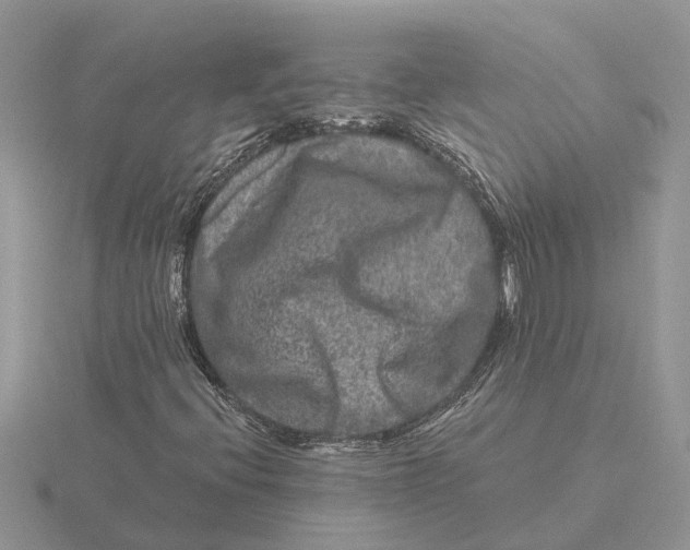 X0000115671396200912101102