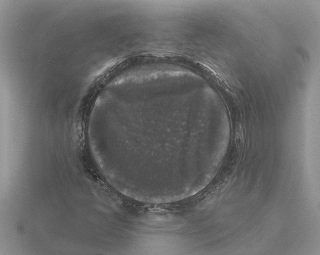 X0000115671398200912101102