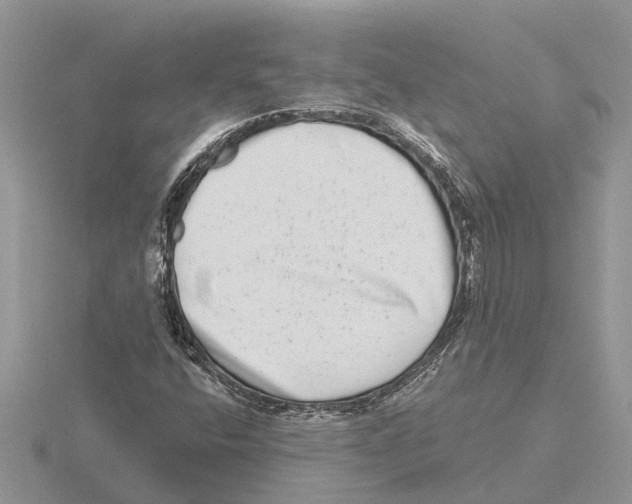 X0000115671400200912101102