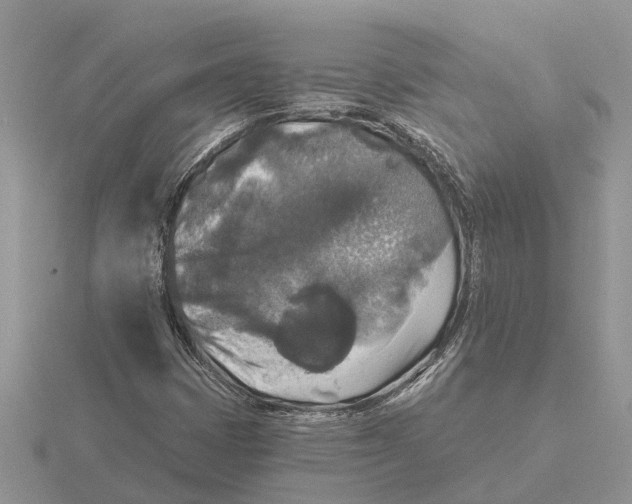 X0000115671401200912101102