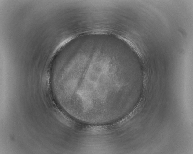 X0000115671402200912101102