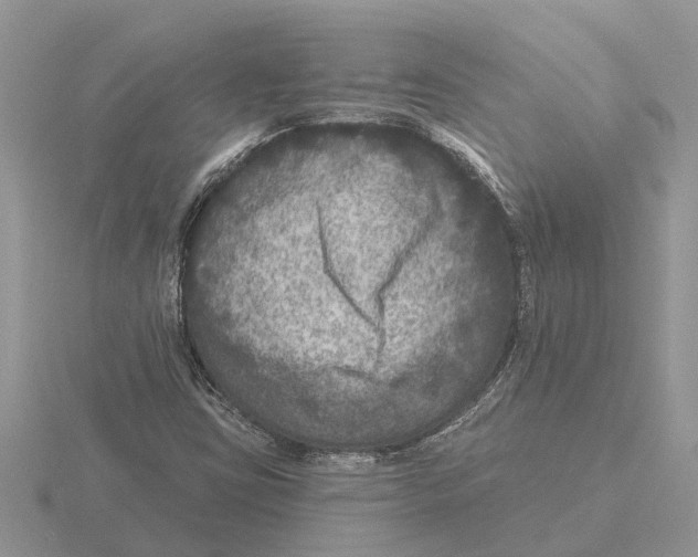 X0000115671403200912101102