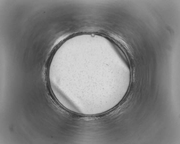 X0000115671404200912101102