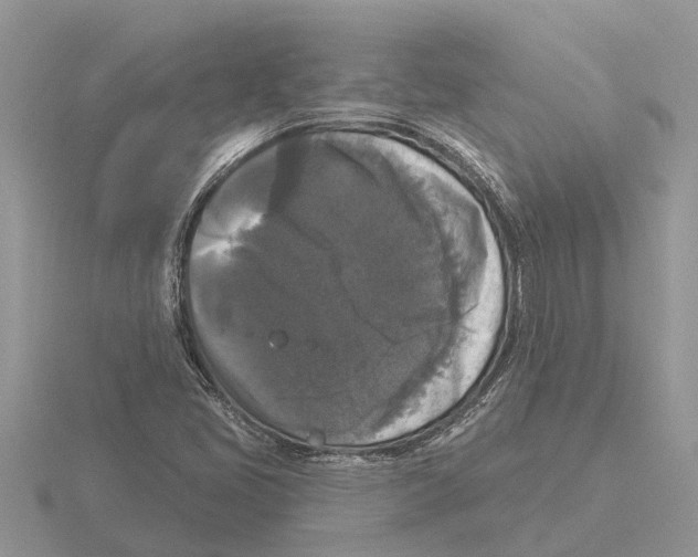 X0000115671405200912101102