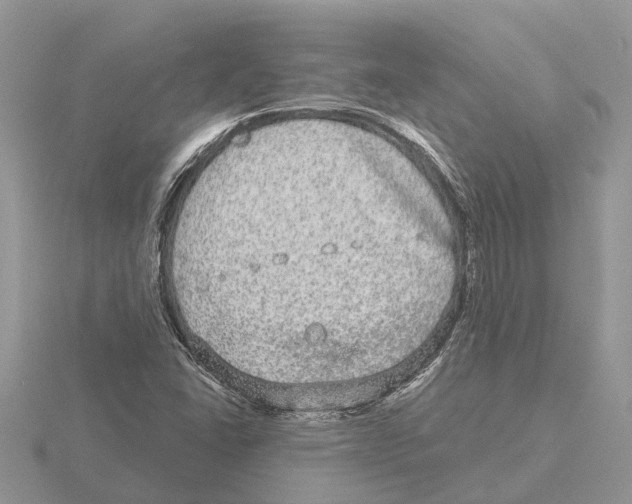 X0000115671406200912101102