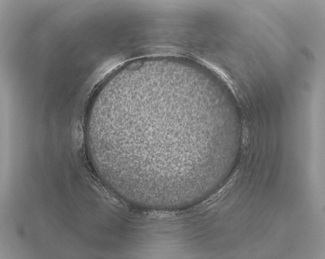 X0000115671407200912101102