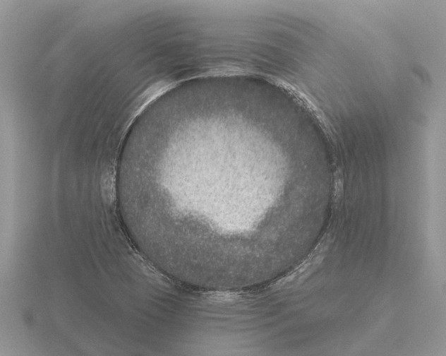 X0000115671409200912101102