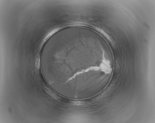 X0000115671413200912101102