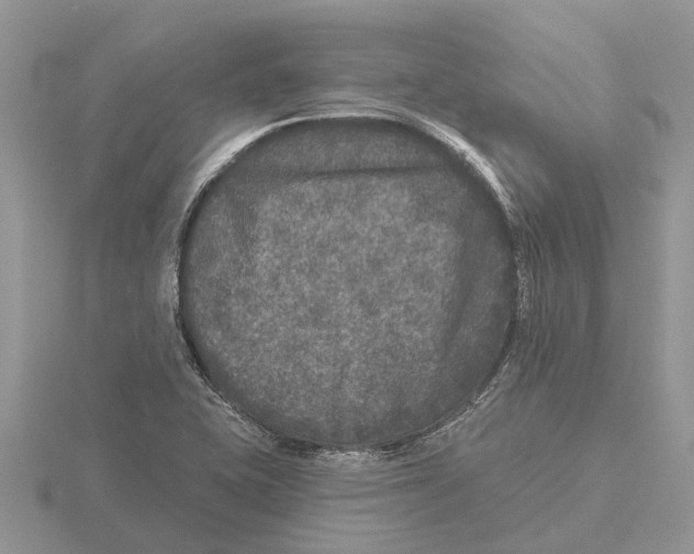 X0000115671415200912101102