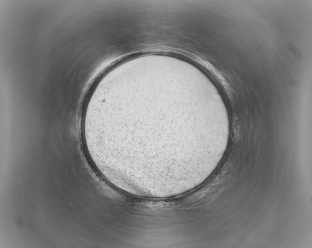 X0000115671416200912101102