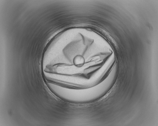 X0000115671417200912101102