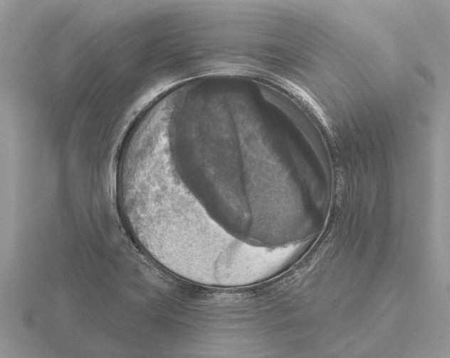 X0000115671419200912101102