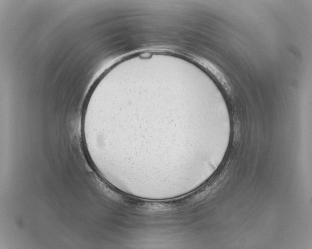 X0000115671420200912101102