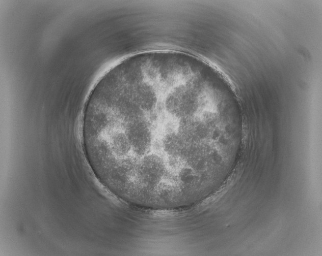 X0000115671421200912101102