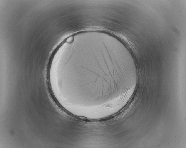 X0000115671422200912101102