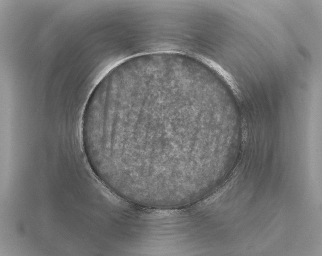 X0000115671423200912101102