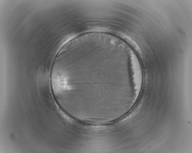 X0000115671425200912101102