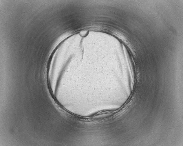 X0000115671426200912101102