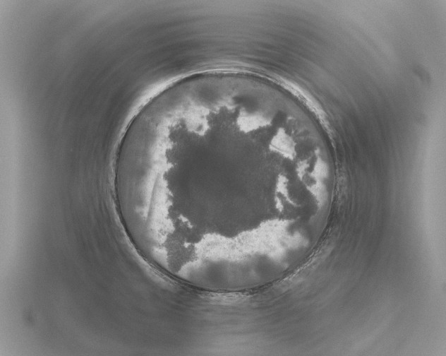 X0000115671429200912101103