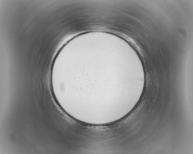 X0000115671432200912101103