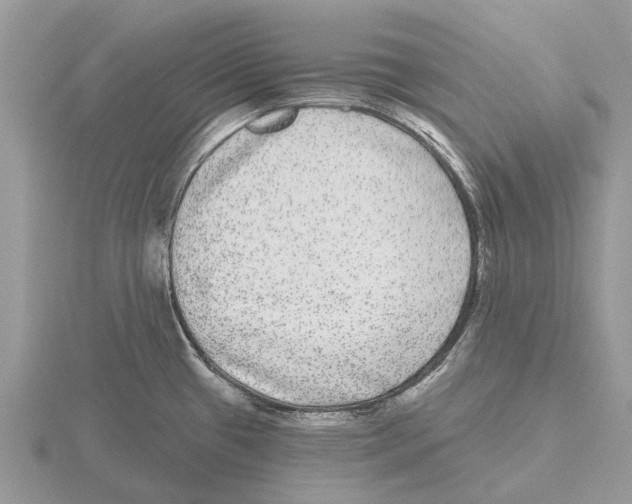 X0000115671433200912101103