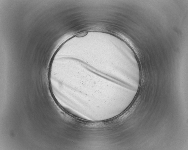 X0000115671434200912101103