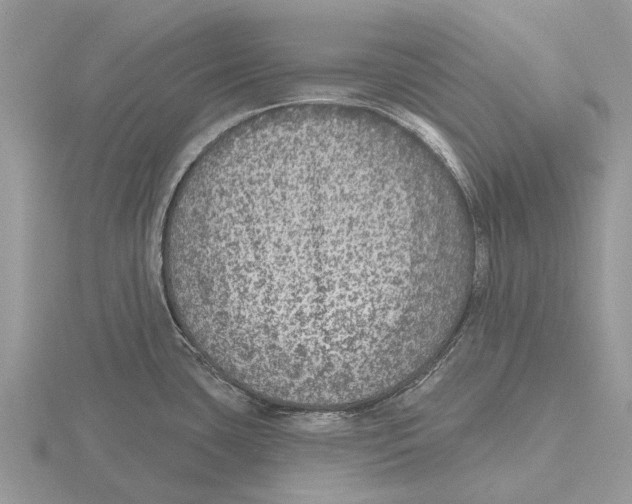 X0000115671435200912101103