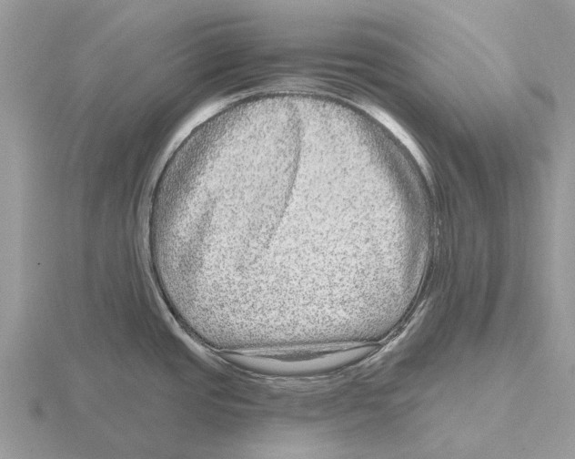 X0000115671437200912101103