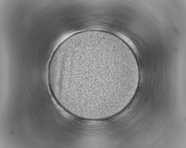 X0000115671439200912101103