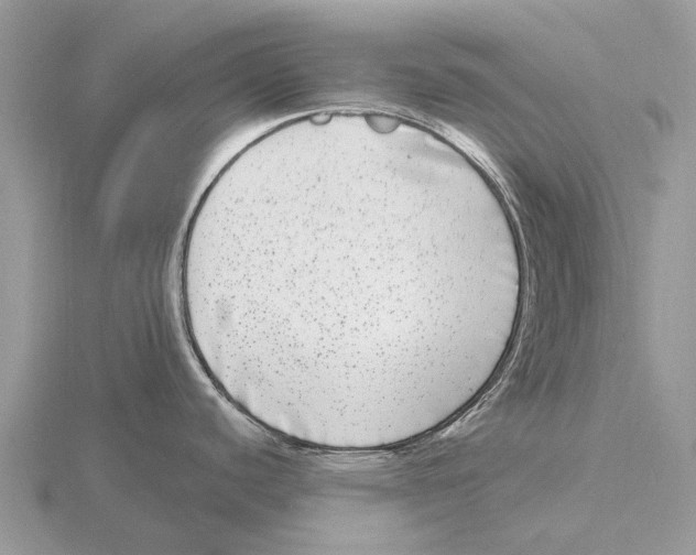 X0000115671440200912101103