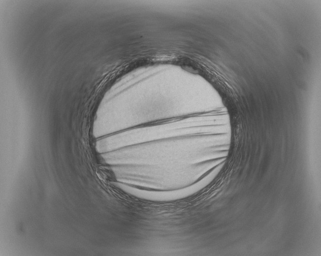 X0000115671441200912101102