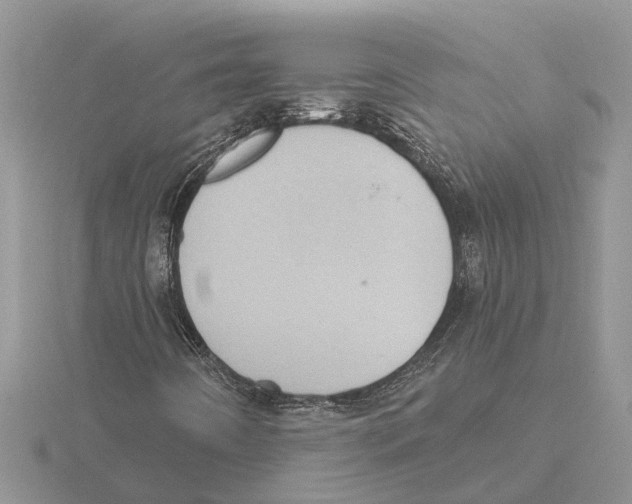 X0000115671442200912101102