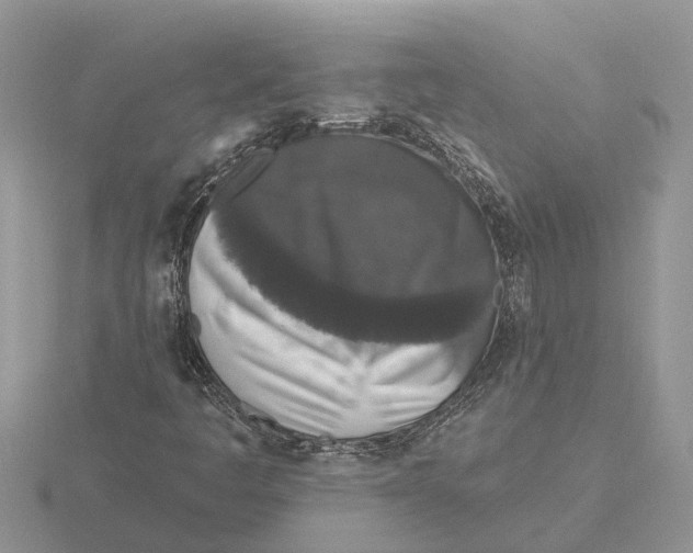 X0000115671445200912101102