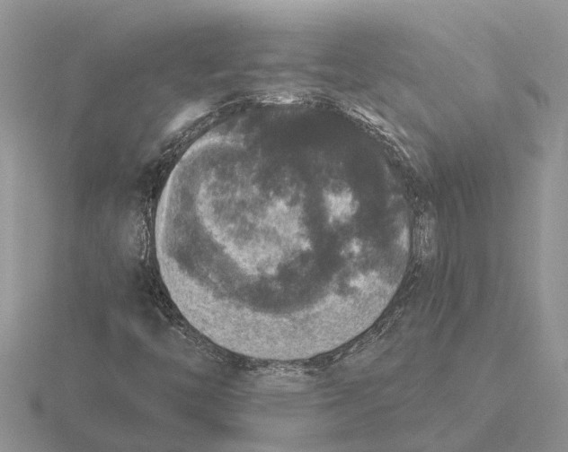 X0000115671446200912101102