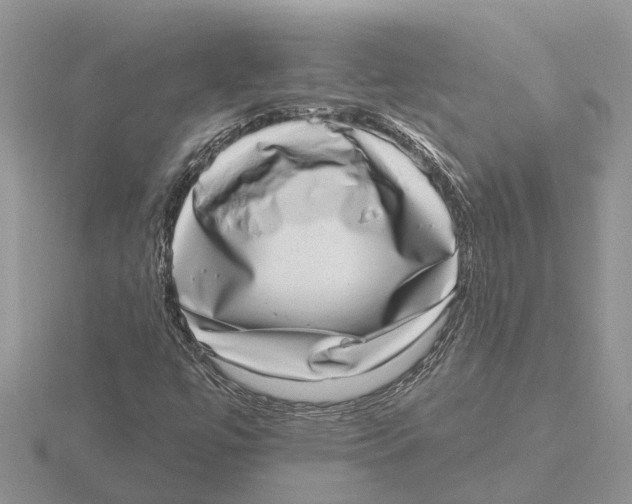 X0000115671447200912101102