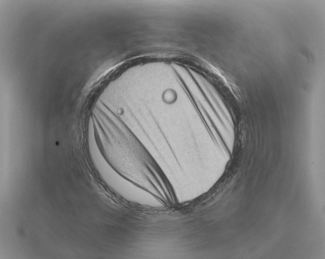 X0000115671448200912101102