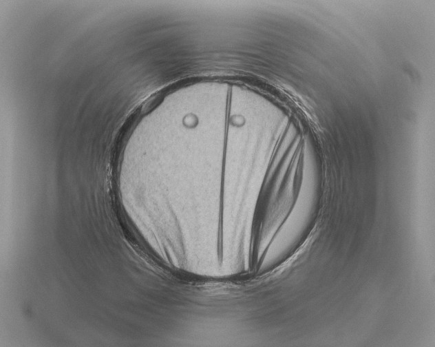 X0000115671449200912101102