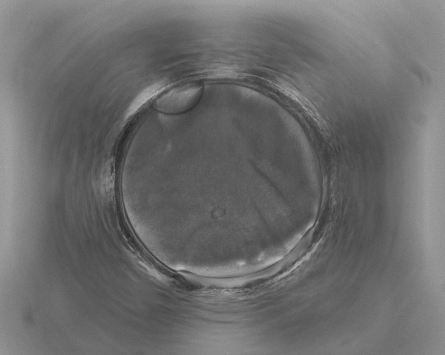 X0000115671450200912101102