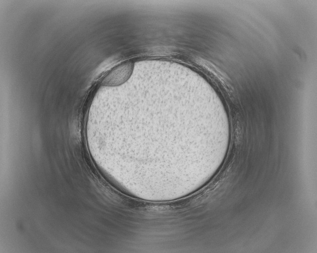 X0000115671451200912101102